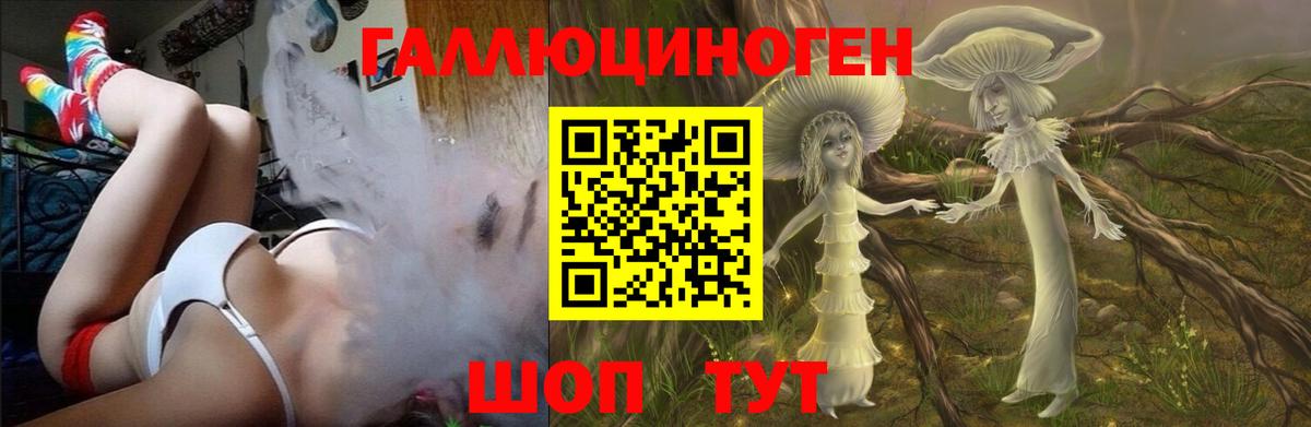 Галлюциногенные грибы Cubensis Армавир