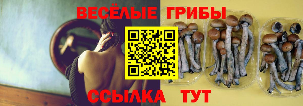 Армавир  купить закладку  Вход с VPN  Галлюциногенные грибы GOLDEN TEACHER 